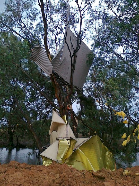 Neighbours workers cabin roof in tree